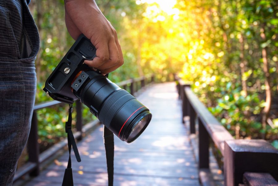 Best Cameras For Easy Travel in 2024