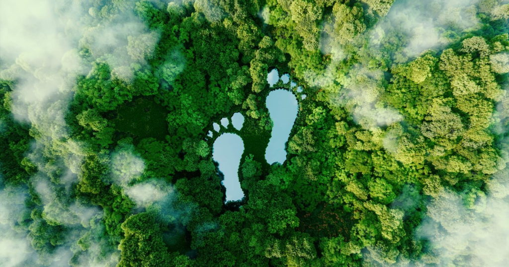 Eco Friendly
