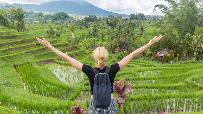 Sustainable and Eco-Friendly Travel: Journey to a Greener World