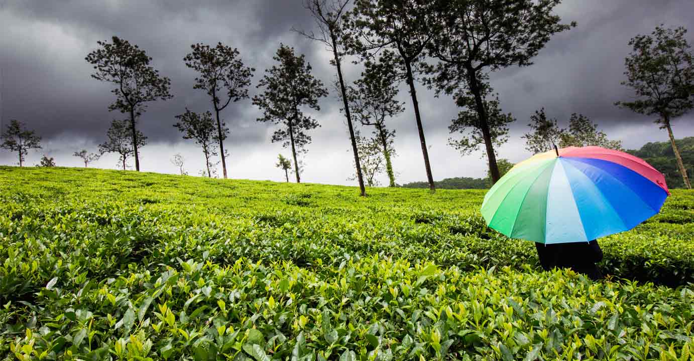 The Symphony of Monsoon: Indian Mythology and Rain’s Divine Dance