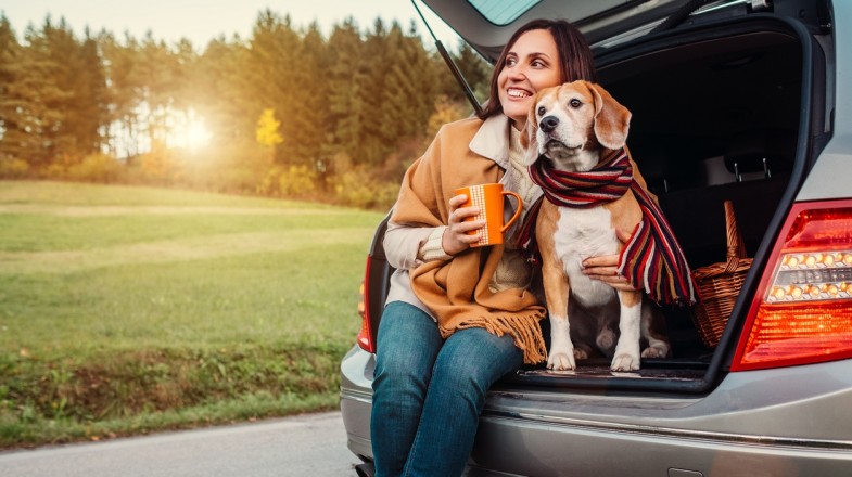 Traveling with Pets: Essential Tips for a Stress-Free Journey