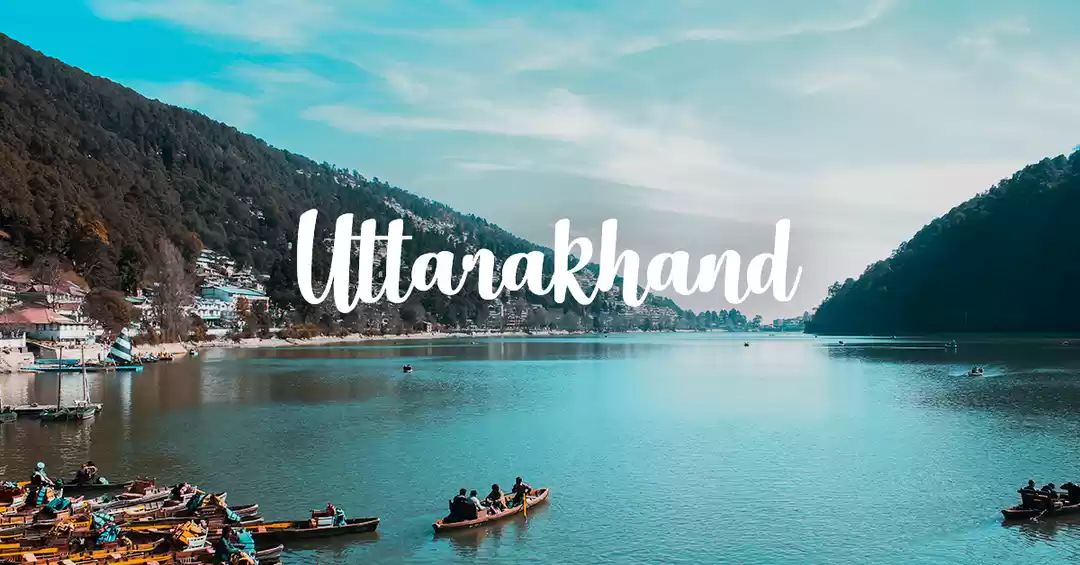 Stories from the Road: A Bus Ride Through the Heart of the Himalayas
