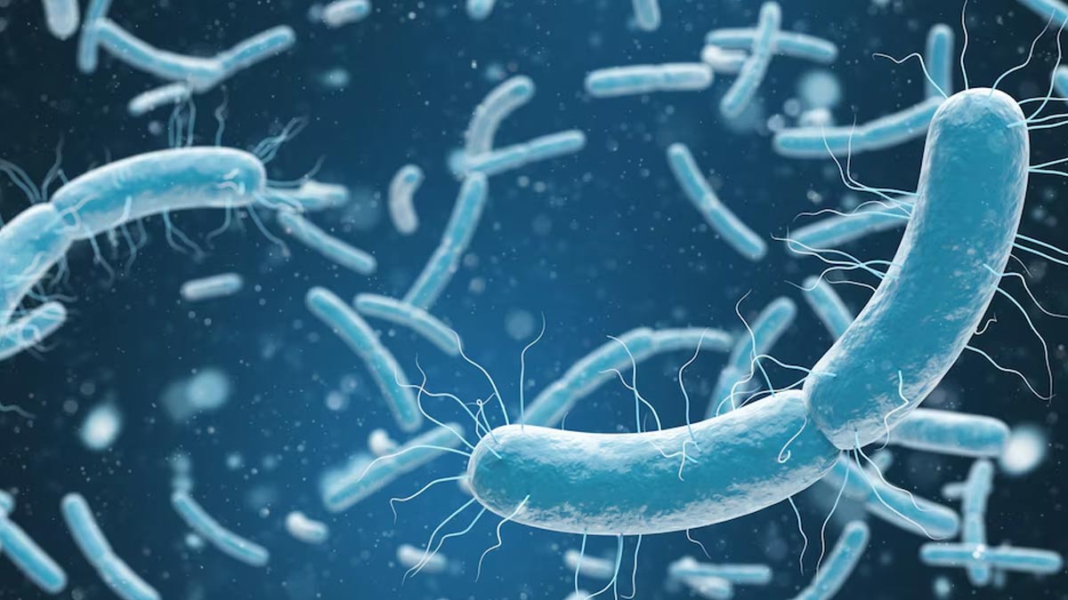 From Influenza to Mpox: WHO’s Updated Priority Pathogens That Could Cause the Next Global Crisis