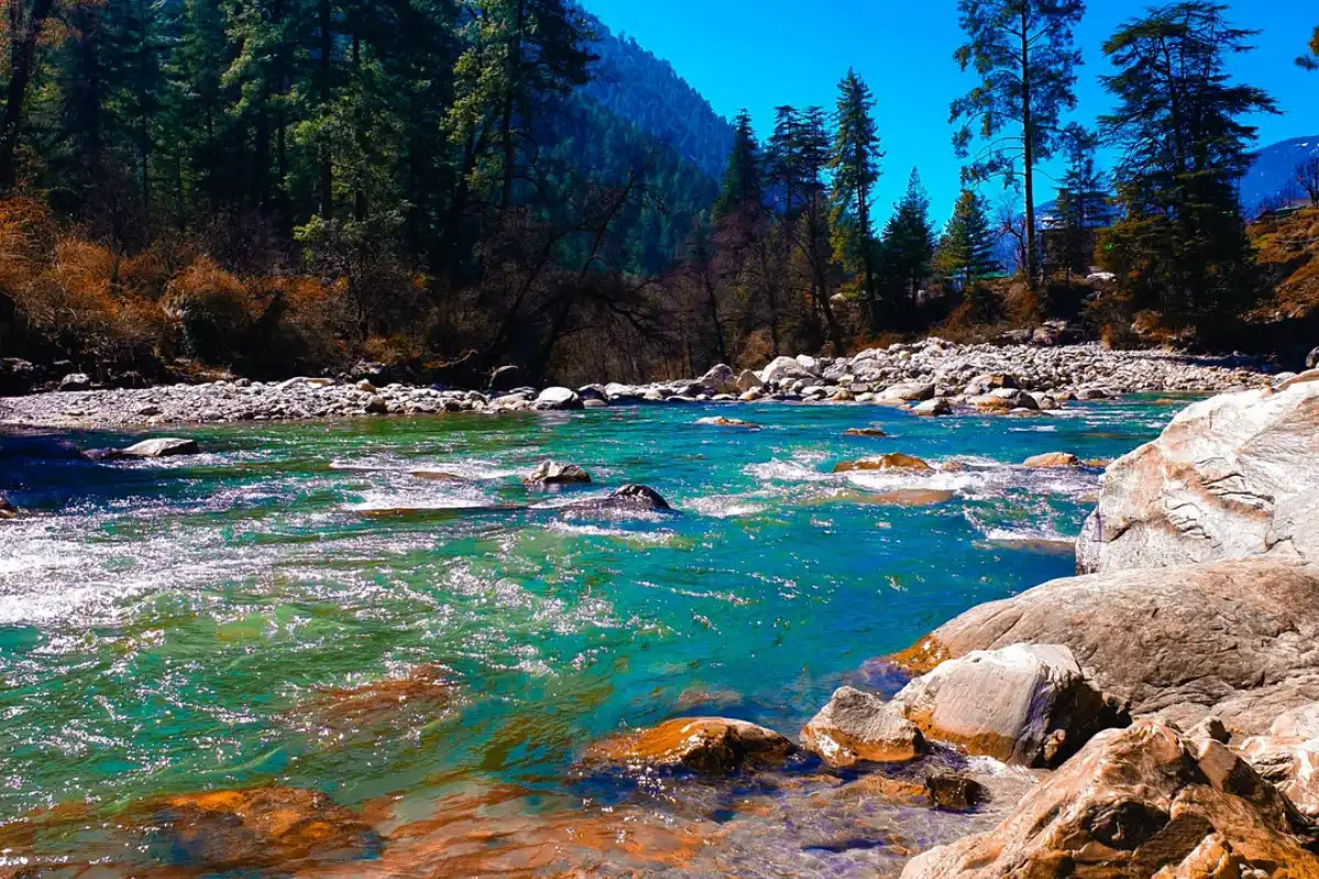 An Unplanned Escape to Kasol: Adventures, Friends, and Himalayan Serenity