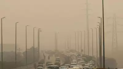 Doctors Warn of Increasing Pollution-Related Ailments in Delhi’s Toxic Air