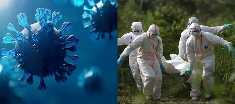 Disease X Claims 79 Lives in Congo: Is This the Next Global Pandemic?